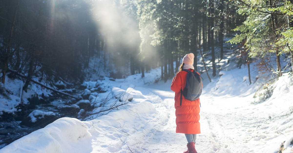 découvrez le renault grand scénic 4, un monospace alliant espace, confort et technologies de pointe. idéal pour les familles, ce véhicule polyvalent offre une conduite agréable et des options personnalisables pour répondre à tous vos besoins. choisissez l'expérience de conduite moderne et sécurisée avec le grand scénic 4.