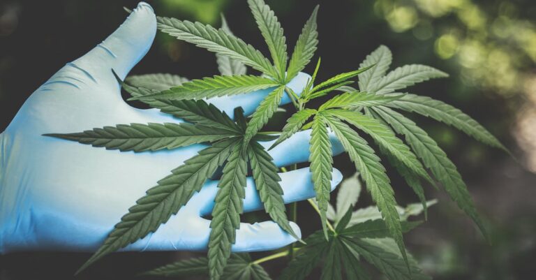 Une femme interpellée à Paris pour l'odeur de cannabis : découverte d'une arme et de faux billets cachés