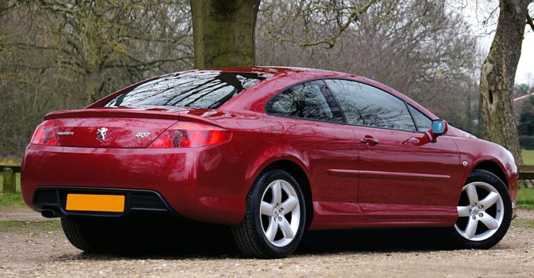 La peugeot 206 rc (2003-2006) : un félin à prix abordable à partir de 7 000 €