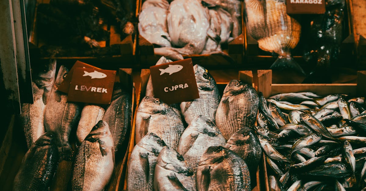 découvrez le cupra formentor, un suv sportif au design audacieux et aux performances remarquables. alliant puissance, confort et technologie de pointe, il offre une expérience de conduite inégalée pour les passionnés d'automobile.