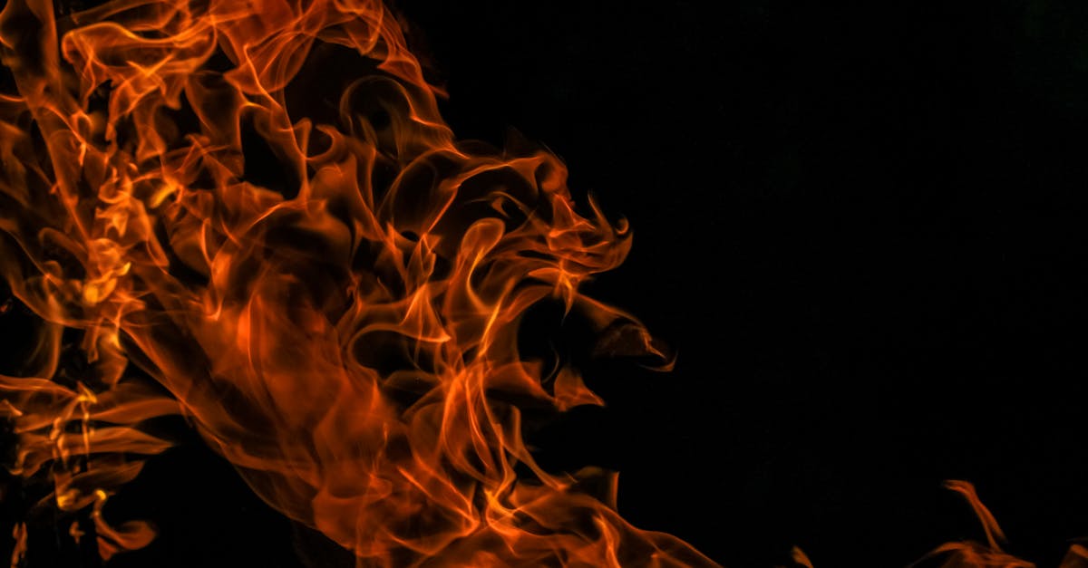 découvrez l'univers fascinant de la chaleur : ses origines, ses applications et ses impacts sur notre quotidien. explorez les différentes sources de chaleur et apprenez comment elle influence notre environnement et notre bien-être.