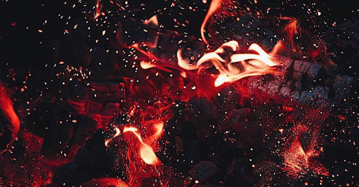 découvrez le phénomène de la chaleur, ses impacts sur notre quotidien et l'environnement. apprenez comment la chaleur influence le climat, la santé et notre mode de vie, tout en explorant des conseils pour se protéger des vagues de chaleur.