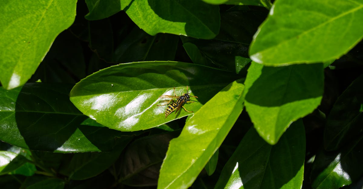 découvrez hornet, l'application incontournable pour la communauté lgbtq+. connectez-vous, partagez des expériences et explorez des événements dans un environnement inclusif et sécurisé. rejoignez des millions d'utilisateurs et faites de nouvelles rencontres aujourd'hui!