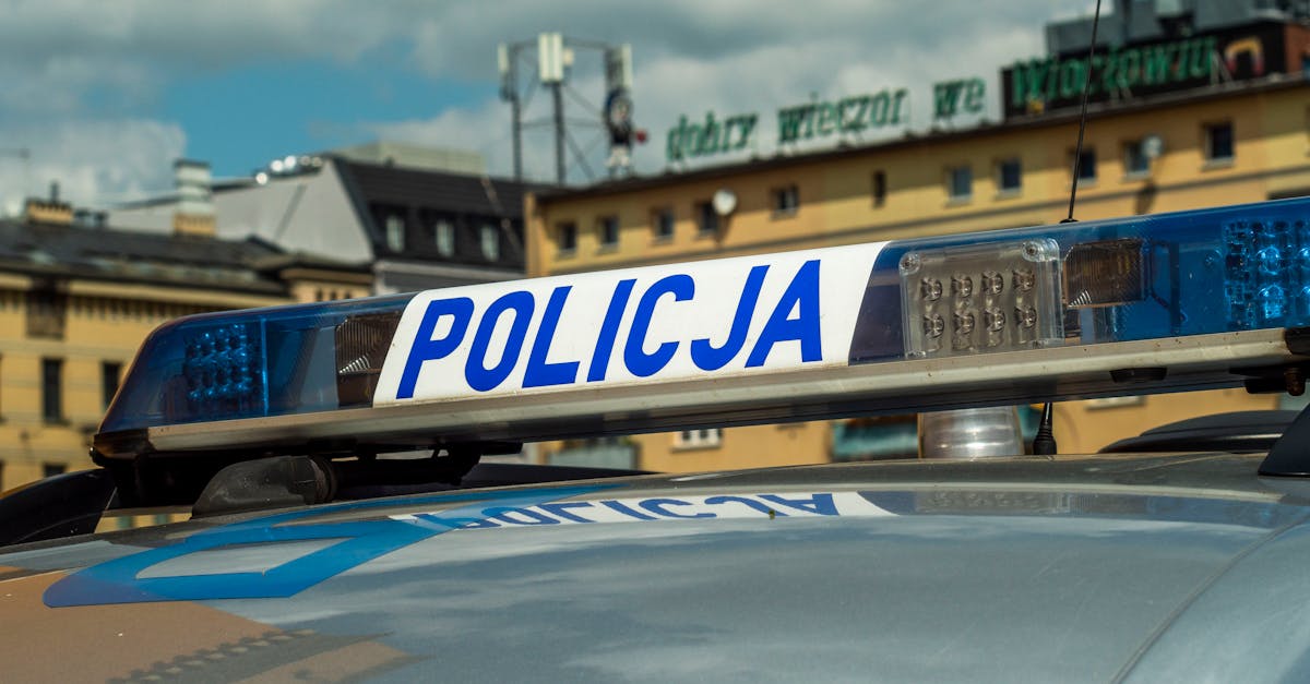 确定您的车辆是否在召回范围内是至关重要的第一步。步骤很简单:每位车主必须检查车辆的序列号(也称为车辆识别号码 (VIN)),该号码通常位于仪表板上,透过挡风玻璃可见,或位于驾驶员侧车门上。受影响车型的精确列表由网站