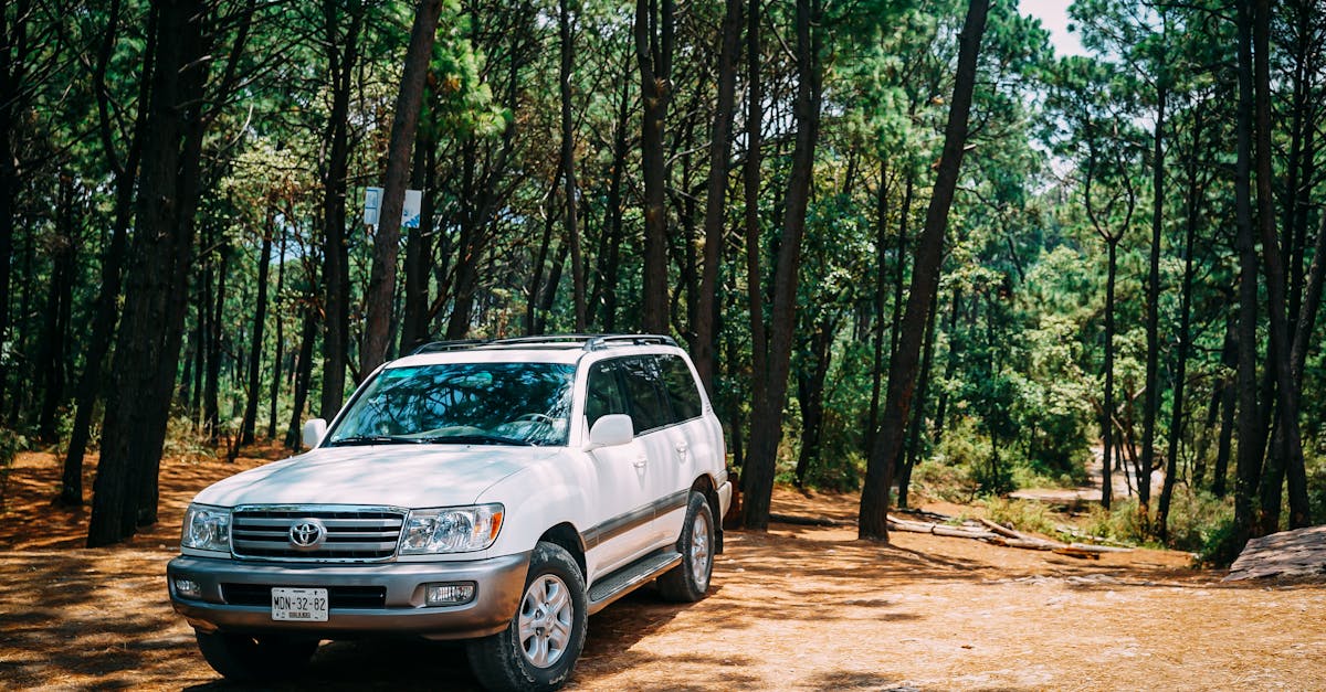 découvrez le toyota hilux, le pick-up légendaire qui allie robustesse, performance et confort. idéal pour les aventuriers et les professionnels, le hilux offre une conduite exceptionnelle sur tous les terrains tout en garantissant une efficacité énergétique remarquable. explorez ses caractéristiques, son design moderne et sa technologie avancée qui en font le choix idéal pour ceux qui recherchent un véhicule fiable et performant.