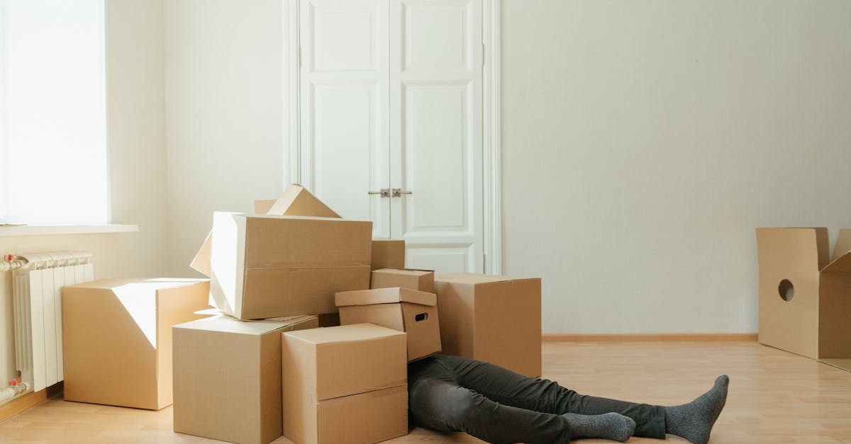 découvrez les causes, conséquences et conseils de prévention des accidents. informez-vous sur les différents types d'accidents, leur impact sur la vie quotidienne et comment minimiser les risques pour la sécurité de tous.