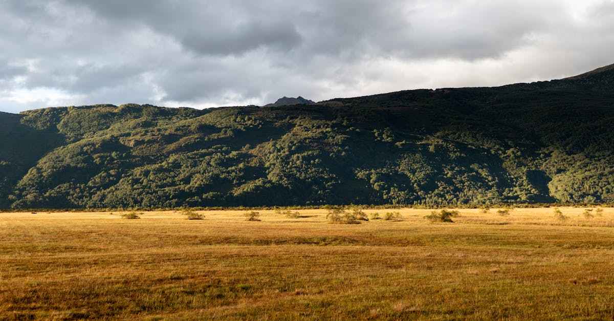 Descubra a CFmoto 800 MT-X, a motocicleta off-road que combina desempenho e aventura. Com seu motor potente e design robusto, experimente sensações inesquecíveis em todos os terrenos. Perfeita para passeios e aventureiros.