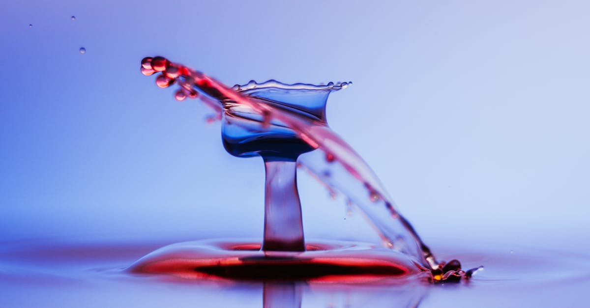 découvrez les causes et les conséquences des collisions, qu'elles soient automobiles, spatiales ou entre objets. apprenez comment prévenir ces incidents et les mesures de sécurité à adopter.