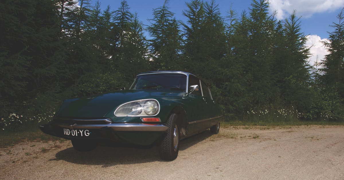 La celebrazione del 70° anniversario non si limita a Parigi. È anche un promemoria del fatto che DS continua ad espandere la sua presenza in tutto il mondo, in particolare in Cina, Europa e Stati Uniti, dove il marchio cerca di competere con giganti come Mercedes-Benz e Aston Martin. La strategia è chiara: coniugare il prestigio del passato con la dinamicità del futuro con modelli come DS 4 e DS 7 Crossback, che integrano tecnologia ibrida e sistemi di connettività avanzati. Elementi chiave della strategia di DS Automobiles