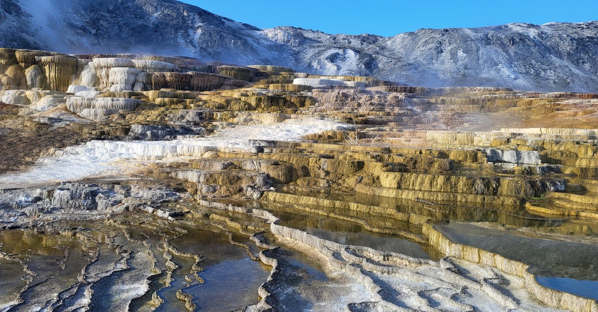Casos concretos que ilustram o absurdo da nova multa ecológica