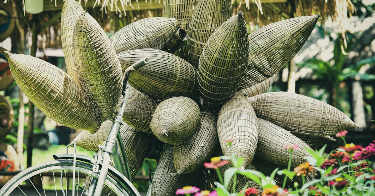 Descubra o impacto e as implicações das penalidades ecológicas, uma medida essencial para incentivar um comportamento mais ecologicamente correto. Conheça as políticas e estratégias que visam reduzir a pegada ecológica e promover um futuro sustentável.