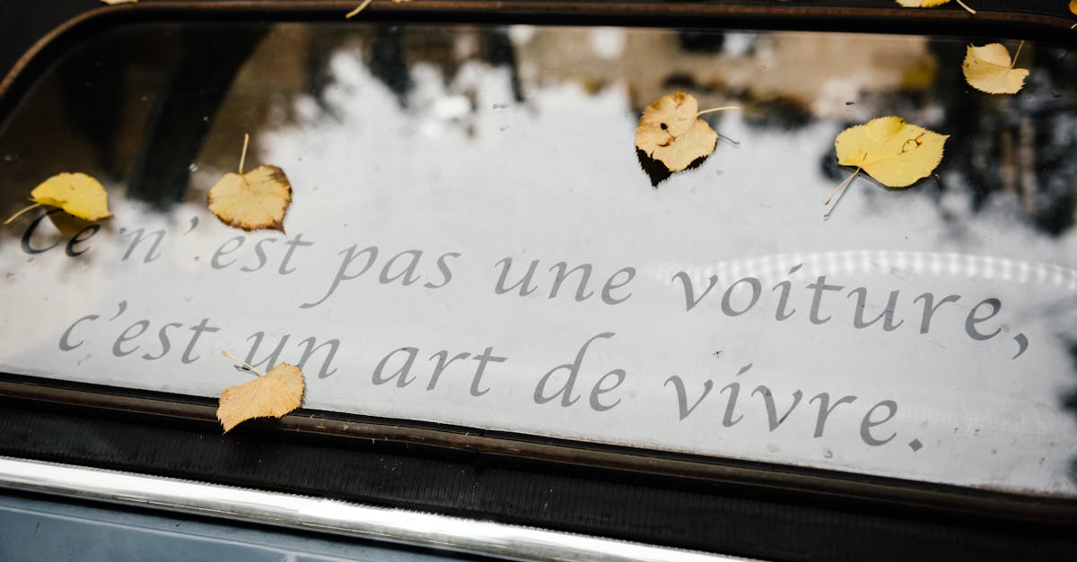 欧洲汽车市场正经历着消费者的持续不满。需求下降是由多种相互交织的经济和社会因素造成的,这些因素使得购买新车变得更加复杂,吸引力也下降了。