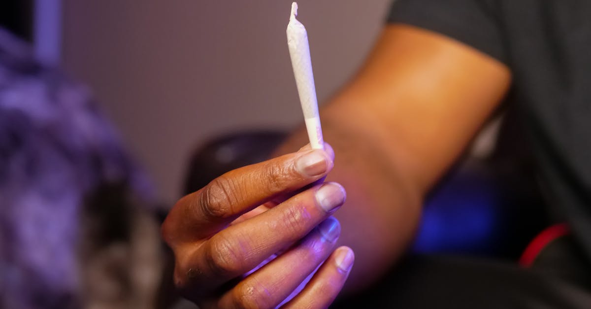 découvrez l'univers hybride, alliant technologie et innovation pour une expérience unique. plongez dans les dernières tendances et solutions durables qui transforment notre quotidien. éveillez votre curiosité et explorez un monde où le meilleur des deux mondes se rencontre.