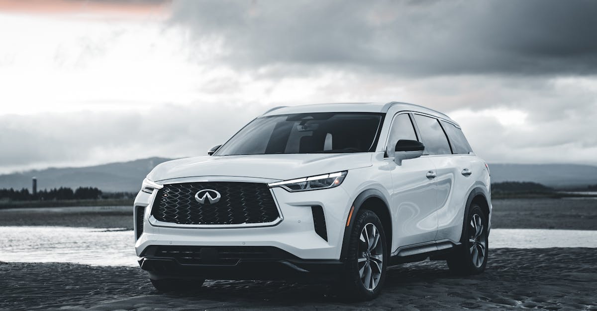 减少对电子设备的依赖: