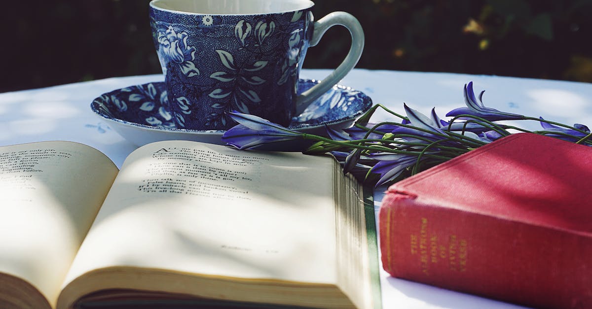 探索索伯车队,这支标志性的一级方程式车队,以其在赛道上的创新和卓越表现而闻名。深入了解这支瑞士车队的辉煌历史及其在赛车界取得的技术进步。