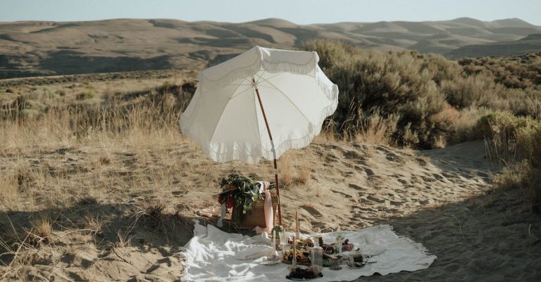 Profitez de vos voyages d'été en toute sérénité grâce au pare-soleil Joyblossom
