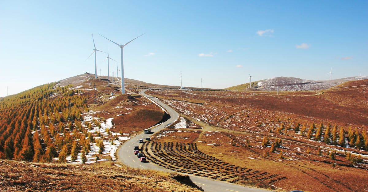 découvrez les voitures durables qui allient innovation, respect de l'environnement et économies d'énergie. explorez les modèles éco-responsables qui réduisent votre empreinte carbone tout en offrant performance et confort.