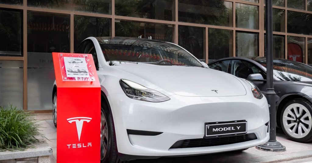 Elon Musk annonce la sortie d'un modèle Y Tesla à prix réduit !