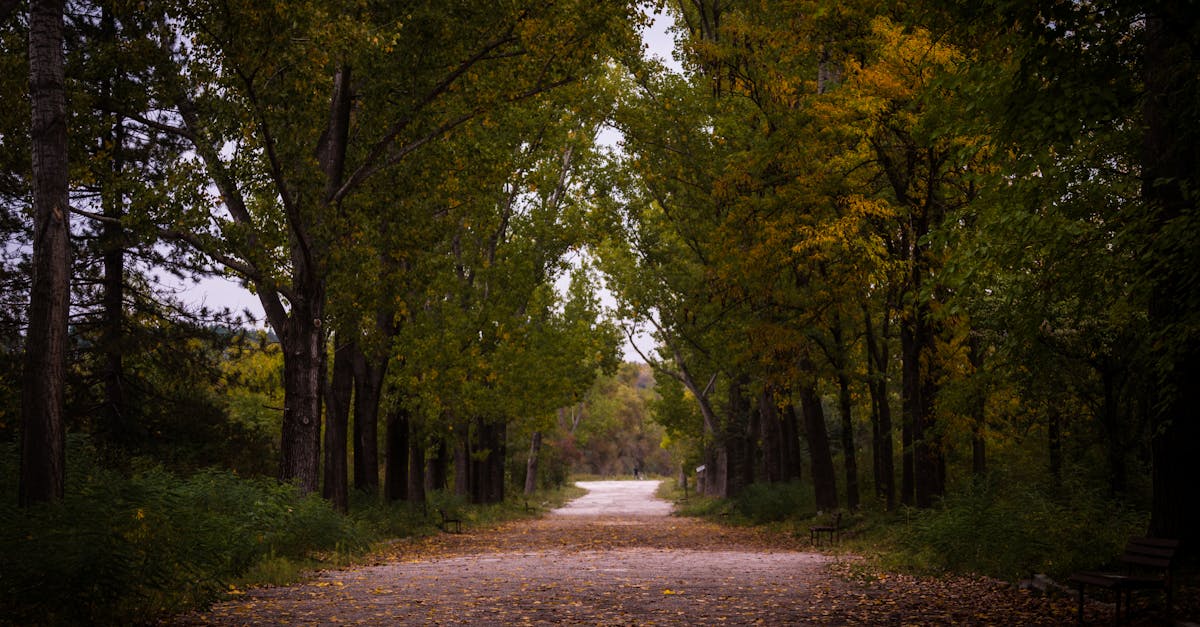 Mayor seguridad 🔐