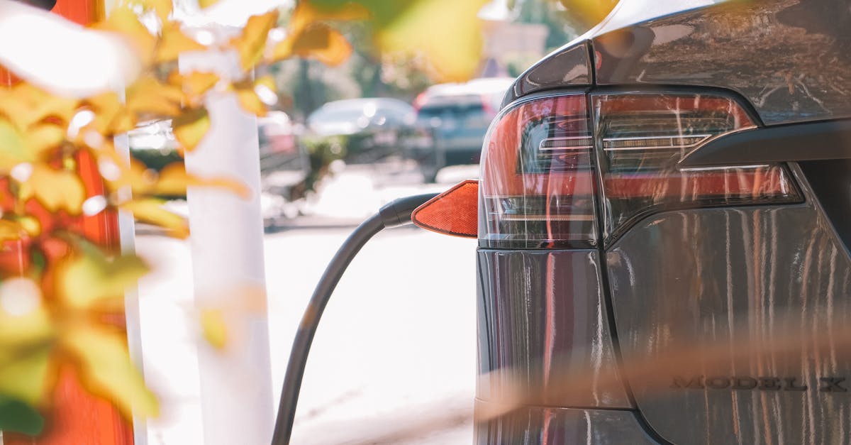 Come posso beneficiare dello sconto su Amazon? Ti consigliamo di seguire le vendite flash e aggiungere il prodotto al carrello durante i periodi promozionali. Lo sconto automatico del 5% viene applicato al momento del pagamento.