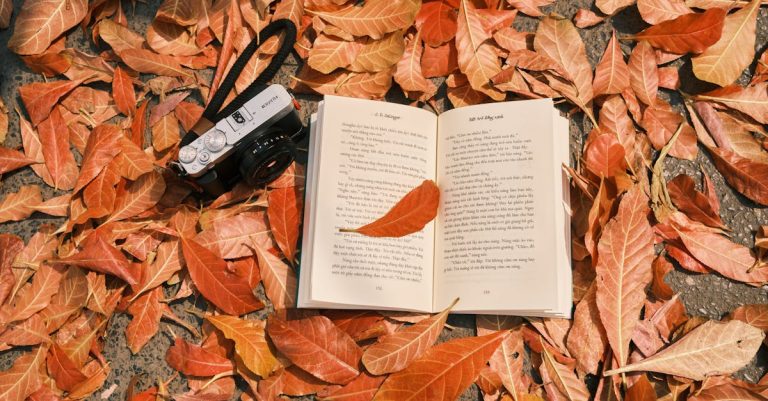 Un retour inattendu : un livre emprunté en 1943 enfin restitué après 82 ans, soulevant des inquiétudes sur les frais