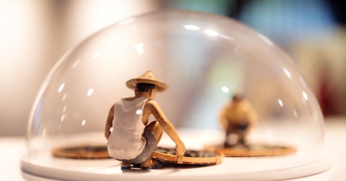 車両交通量と排出ガスへの影響