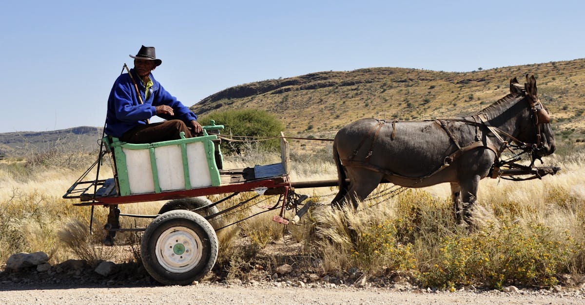 事故がもたらした感情的・社会的影響:涙の道