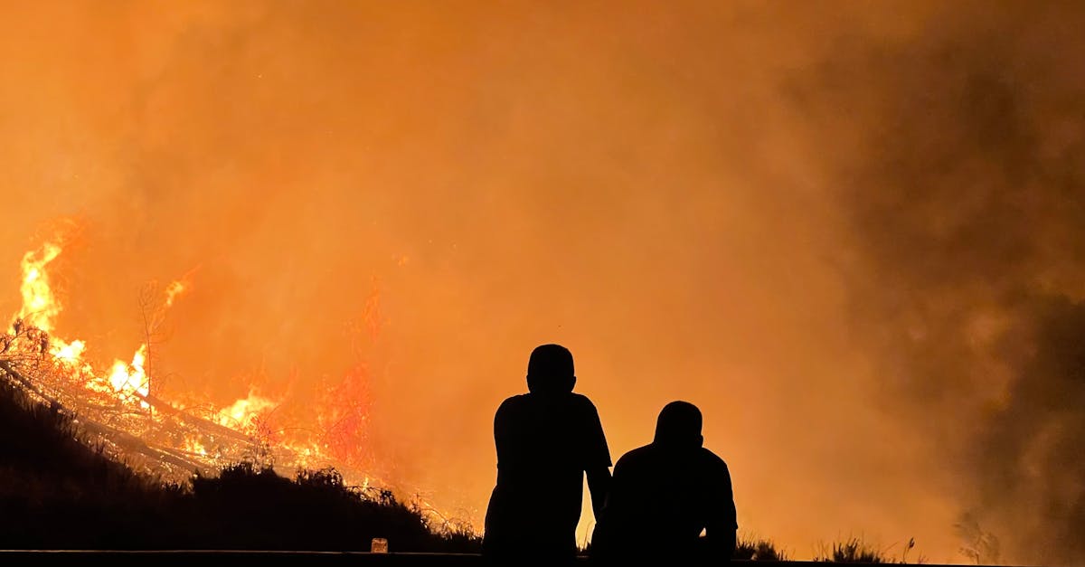 découvrez tout ce qu'il faut savoir sur les épisodes de canicule : causes, conséquences sur la santé et l'environnement, ainsi que des conseils pratiques pour se protéger lors d'une heatwave.