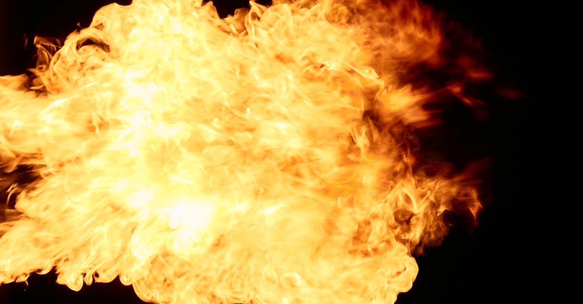 découvrez tout sur le phénomène de la heatwave : causes, conséquences et conseils pour faire face à la canicule et protéger votre santé durant les périodes de fortes chaleurs.