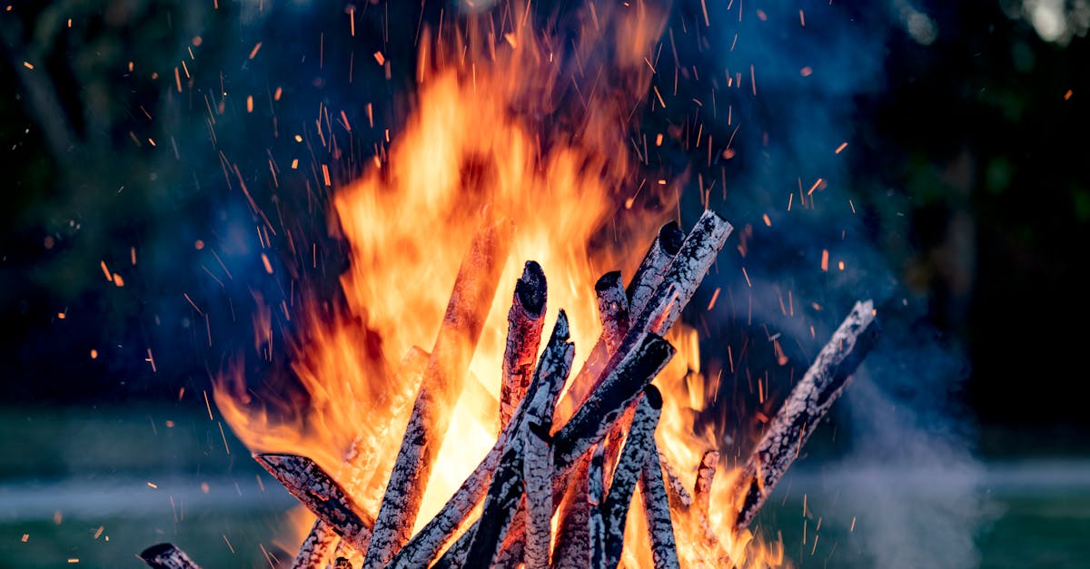 découvrez tout ce que vous devez savoir sur les épisodes de canicule : causes, conséquences sur la santé, conseils pour se protéger et astuces pour mieux supporter les vagues de chaleur.