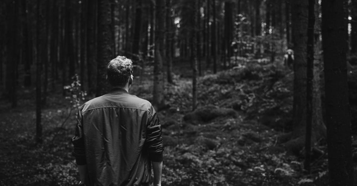 découvrez les détails fascinants d'un incident mystérieux qui a captivé l'attention du public. plongée dans une enquête intrigante mêlant secrets, énigmes et révélations inattendues.