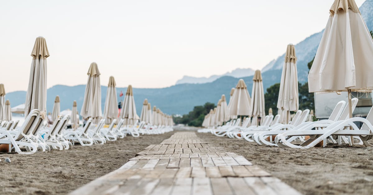 découvrez notre sélection de sunshades pratiques et élégants pour vous protéger efficacement du soleil, que ce soit à la plage, dans votre jardin ou en déplacement. choisissez le modèle idéal pour profiter pleinement de l’été !