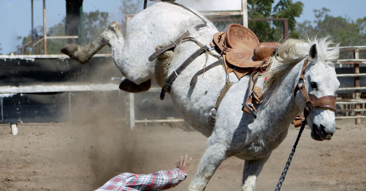 découvrez les détails bouleversants d'un tragique accident, ses conséquences et les témoignages des personnes touchées par ce drame.